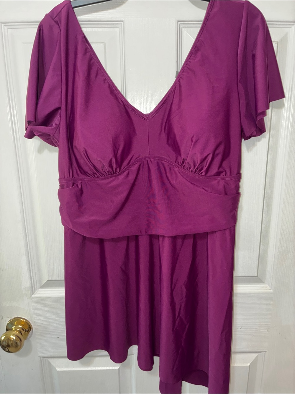 Women’s Plus Swim Dress - Deep Magenta